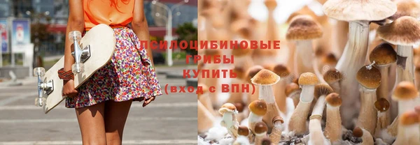СК Абдулино
