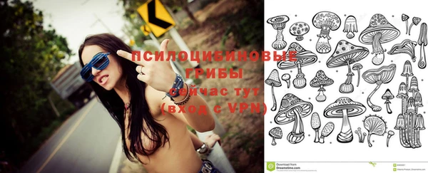 экстази Осинники